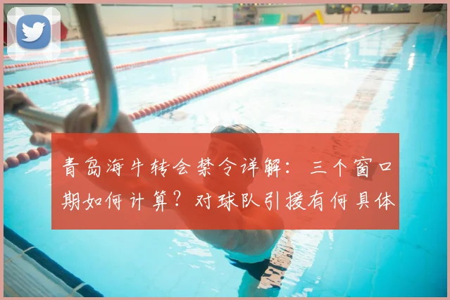 青岛海牛转会禁令详解：三个窗口期如何计算？对球队引援有何具体影响及应对策略