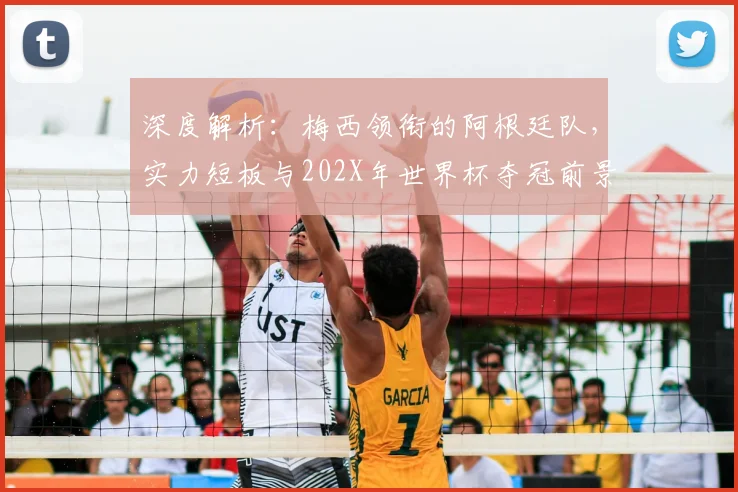 深度解析：梅西领衔的阿根廷队，实力短板与202X年世界杯夺冠前景预测